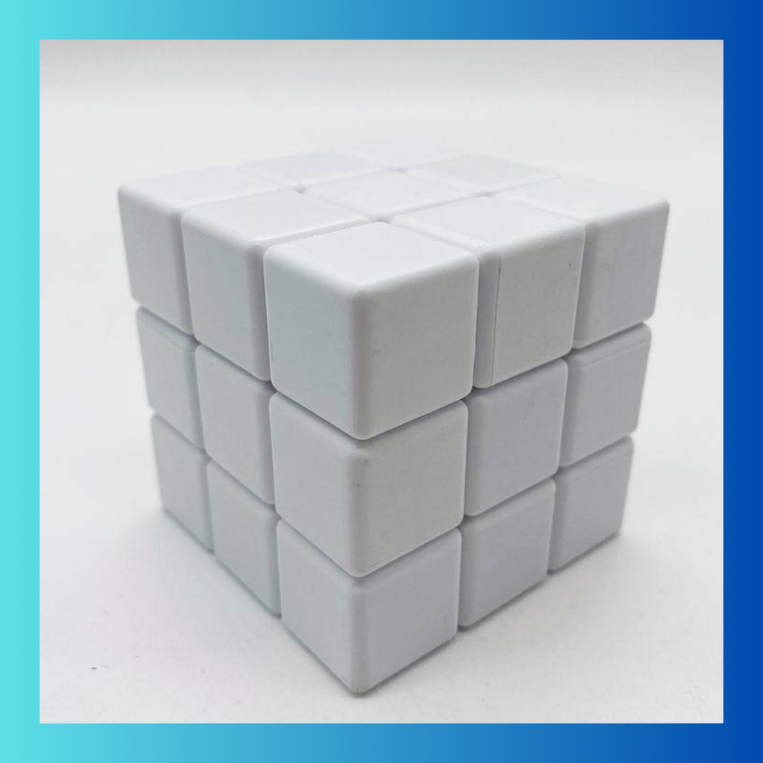 Customizable Fully enclosed Rubik’s Cube